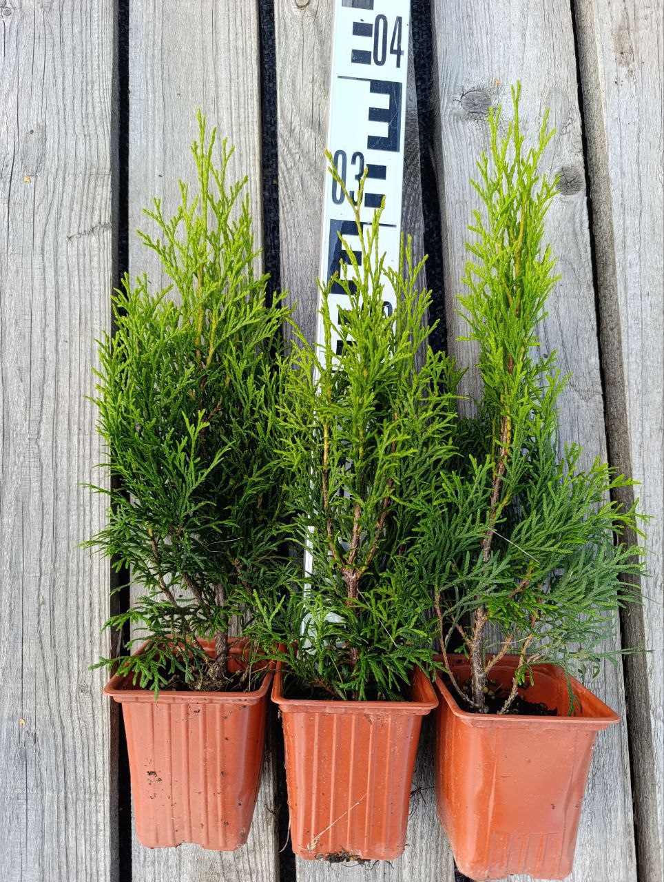 photo_2026-03-01_11-34-44